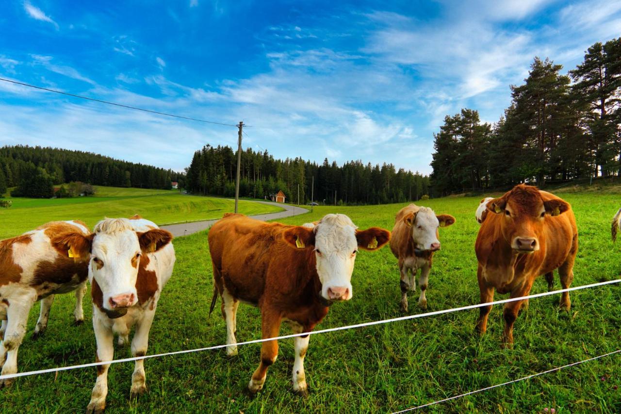 Landhaus Valentin Triberg im Schwarzwald Bagian luar foto