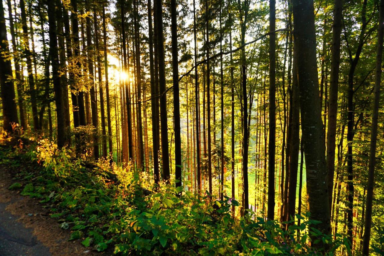 Landhaus Valentin Triberg im Schwarzwald Bagian luar foto