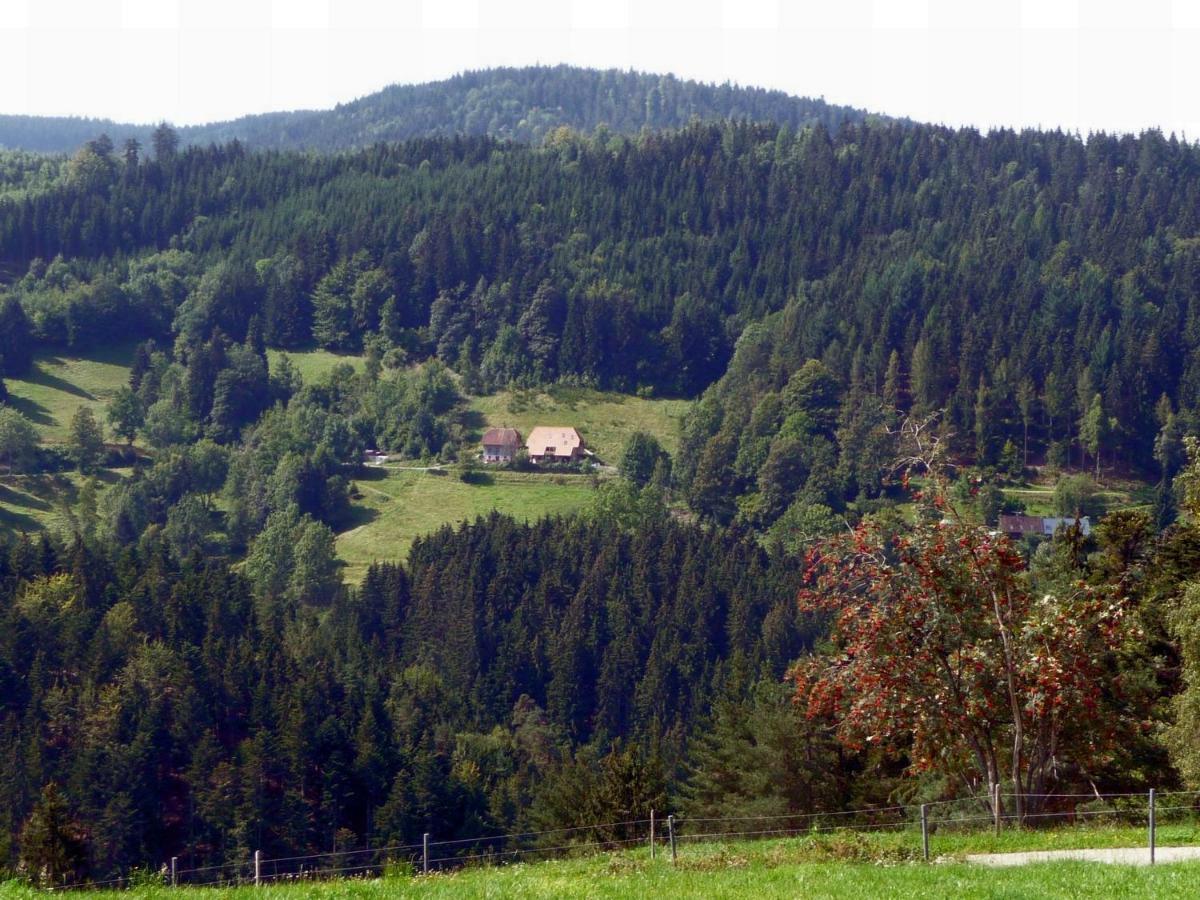 Landhaus Valentin Triberg im Schwarzwald Bagian luar foto
